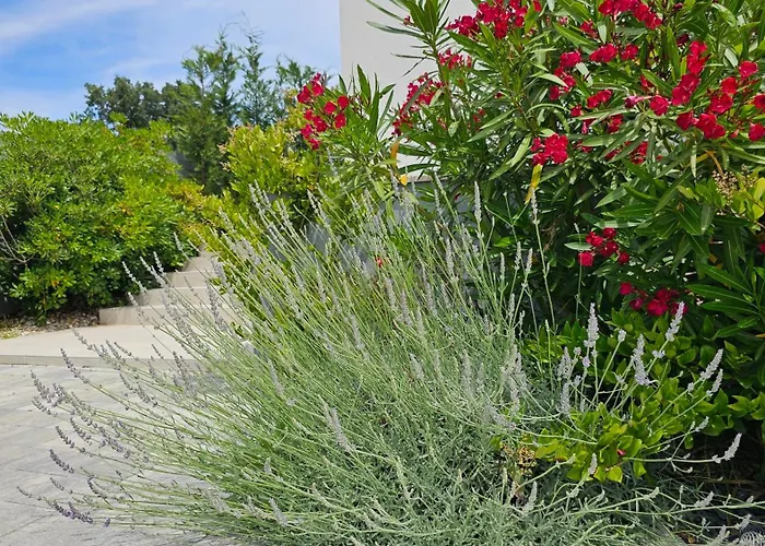 With Pool Casa Bianca Apartman *